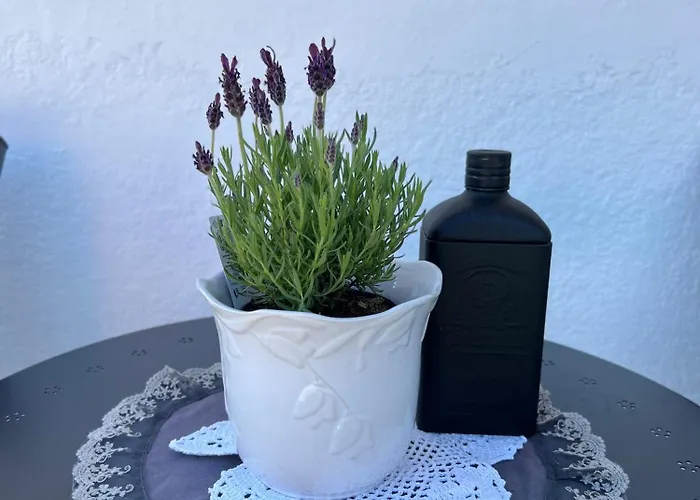 St Mountain Escape *